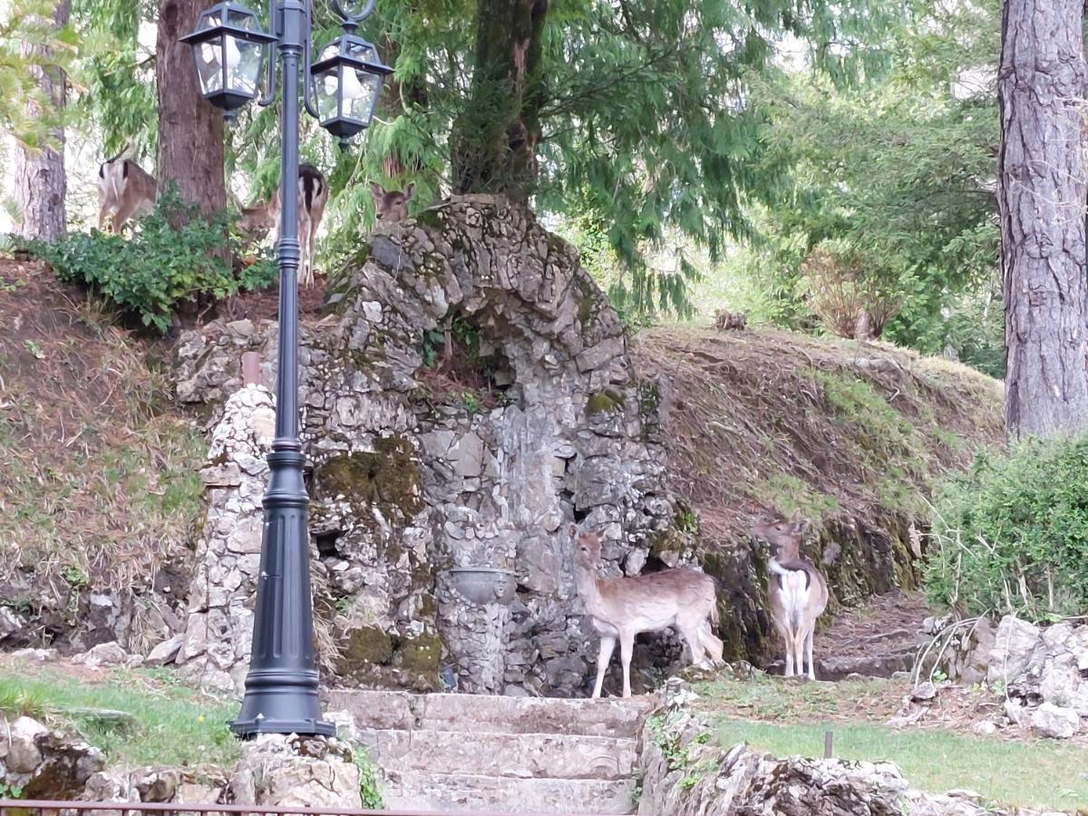 Villa Ghiron Torriglia エクステリア 写真