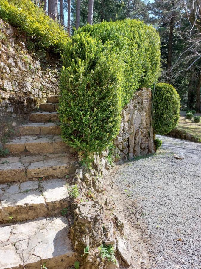 Villa Ghiron Torriglia エクステリア 写真