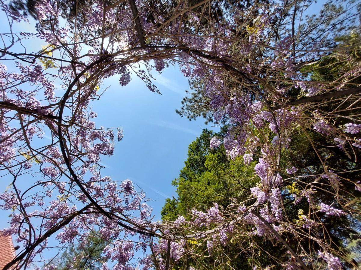 Villa Ghiron Torriglia エクステリア 写真